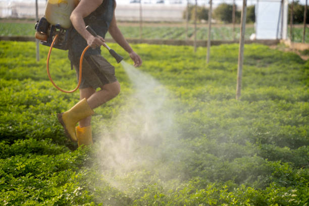 Best Mosquito Control Services  in Mount Cob, PA