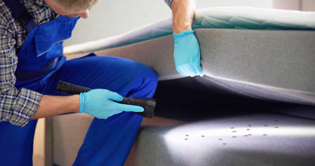 Professional Pest Control in Mount Cob, PA