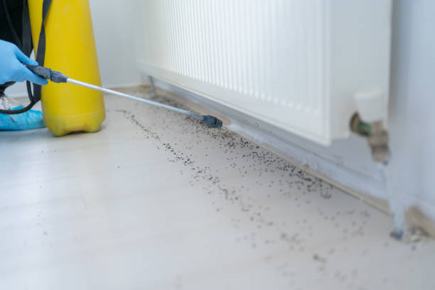Best Affordable Pest Control Services  in Mount Cob, PA